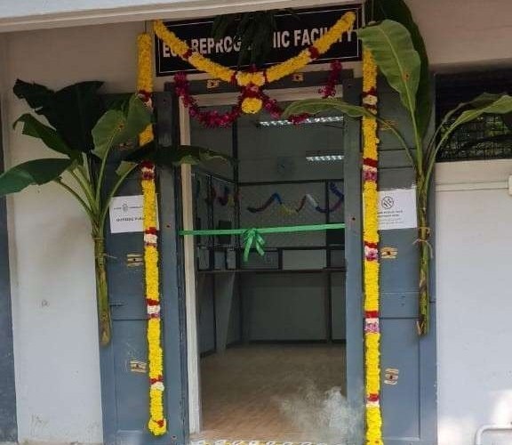 HER FIT WELLNESS STUDIO