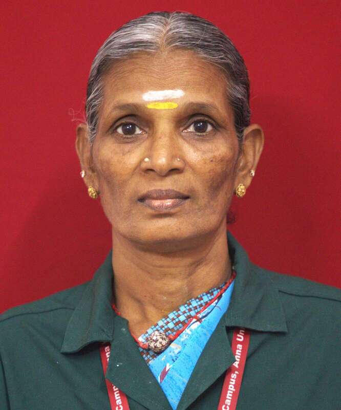Mr. M. Subramani