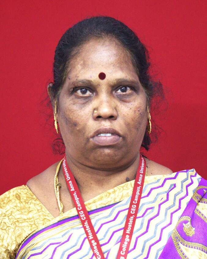 Mr. M. Subramani