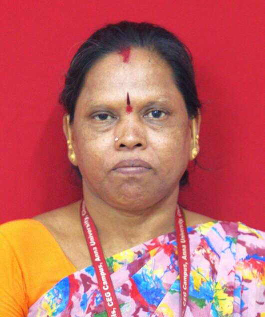 Mr. M. Subramani
