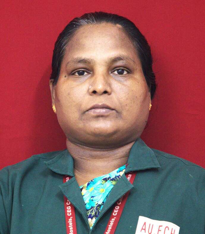 Mr. M. Subramani