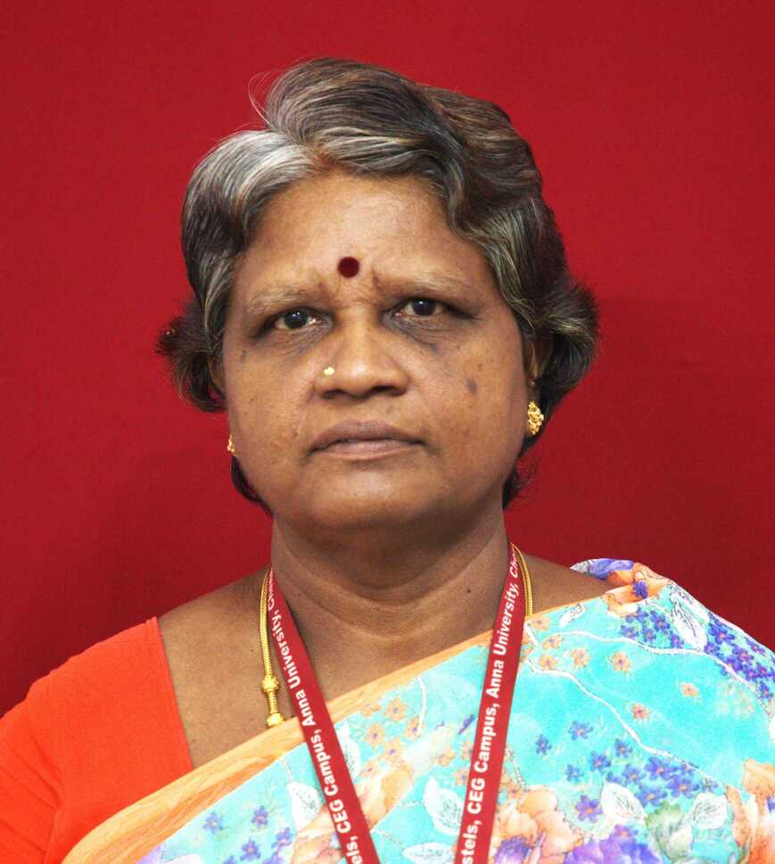 Mr. M. Subramani