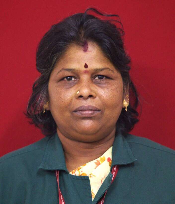 Mr. M. Subramani