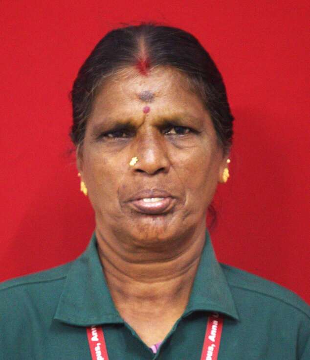 Mr. M. Subramani