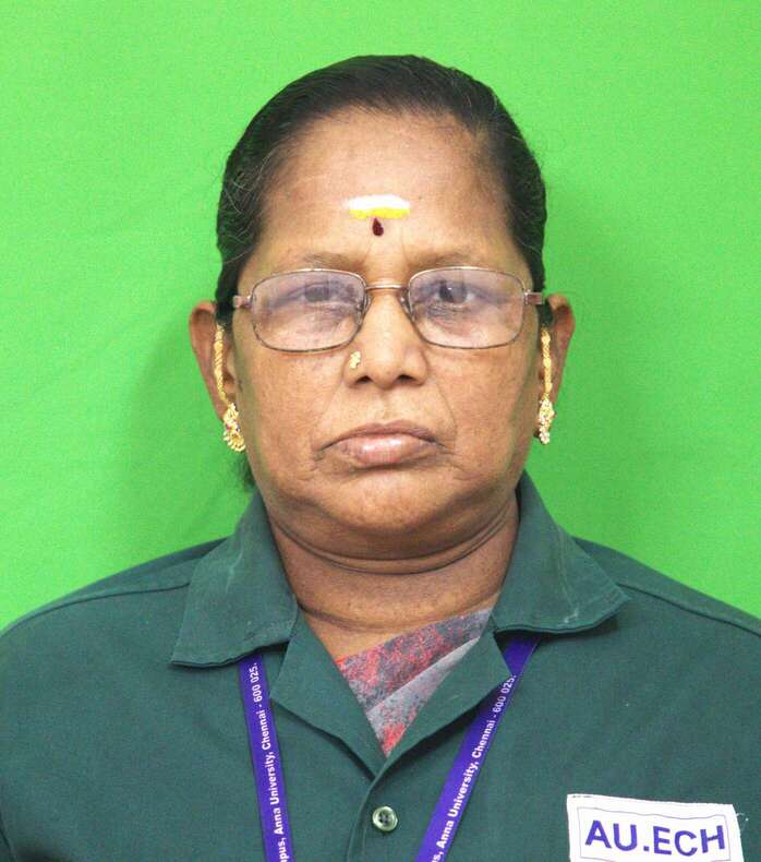 Mr. M. Subramani