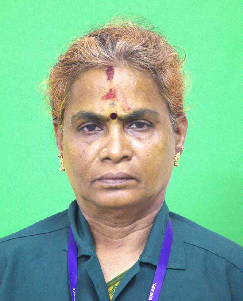 Mr. M. Subramani