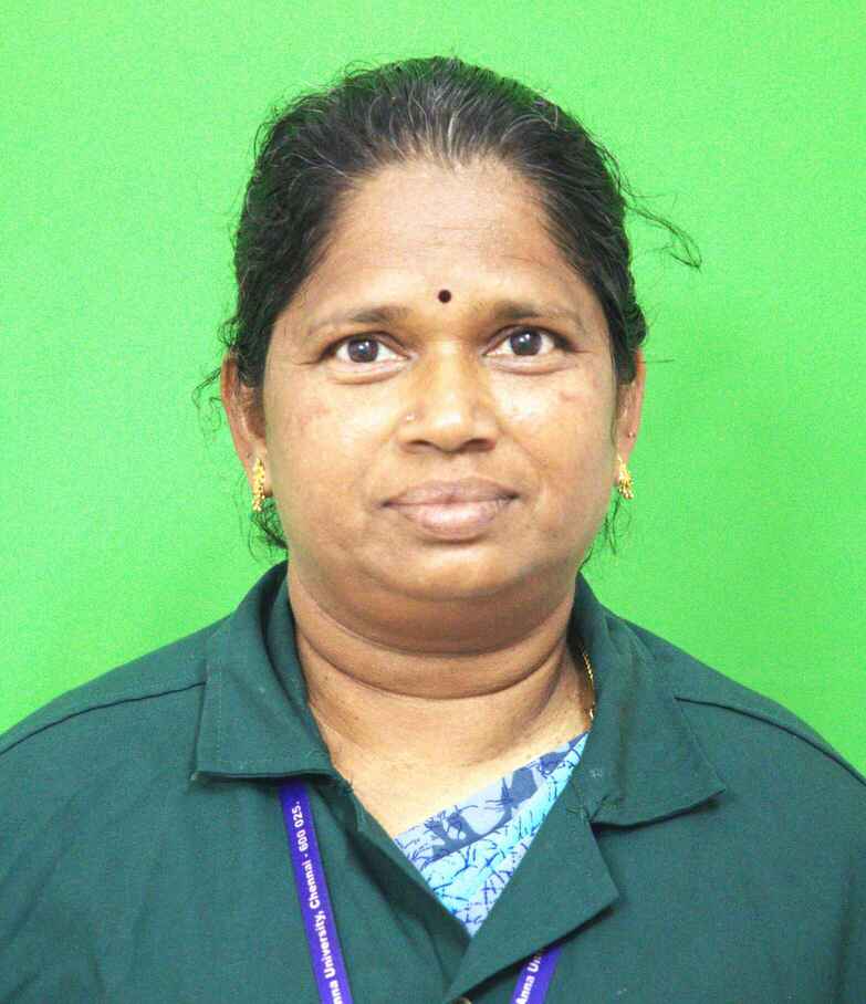 Mr. M. Subramani