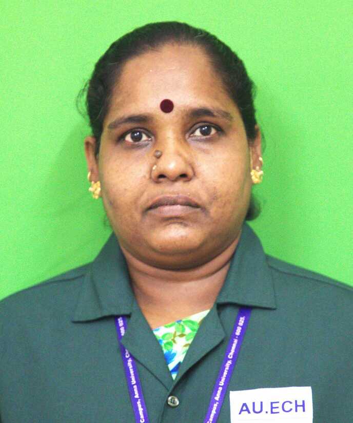 Mr. M. Subramani