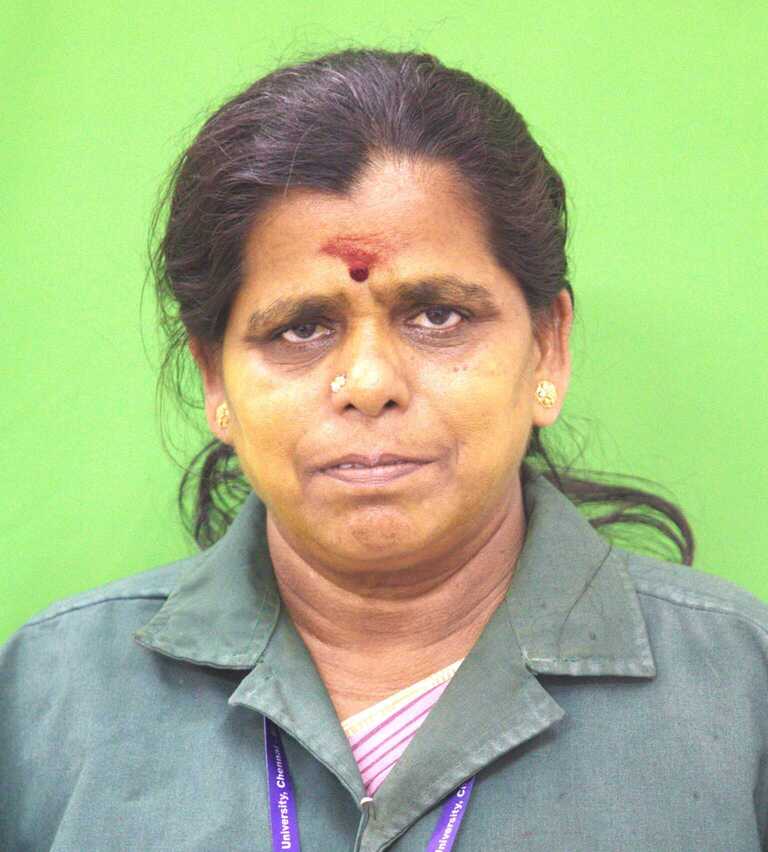 Mr. M. Subramani