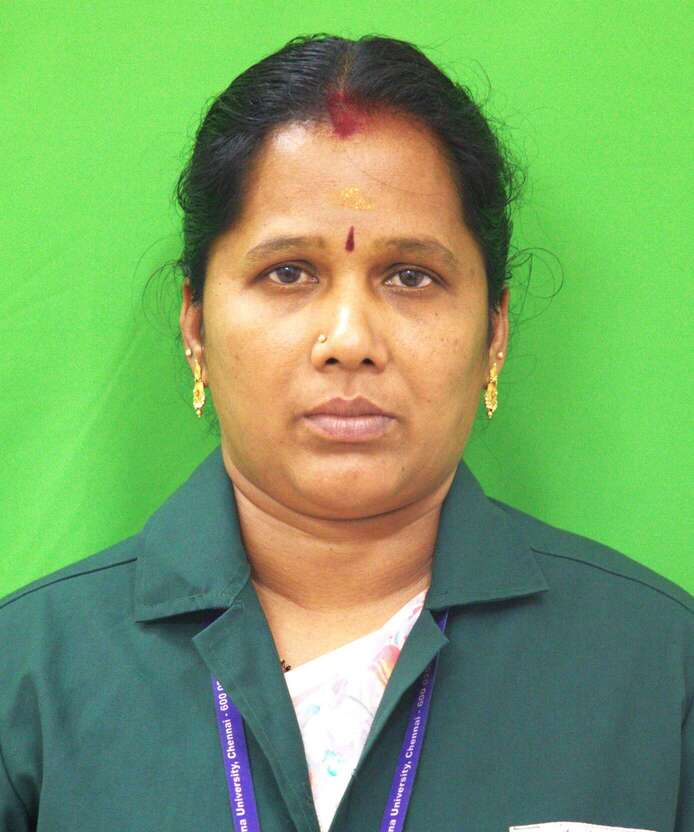 Mr. M. Subramani