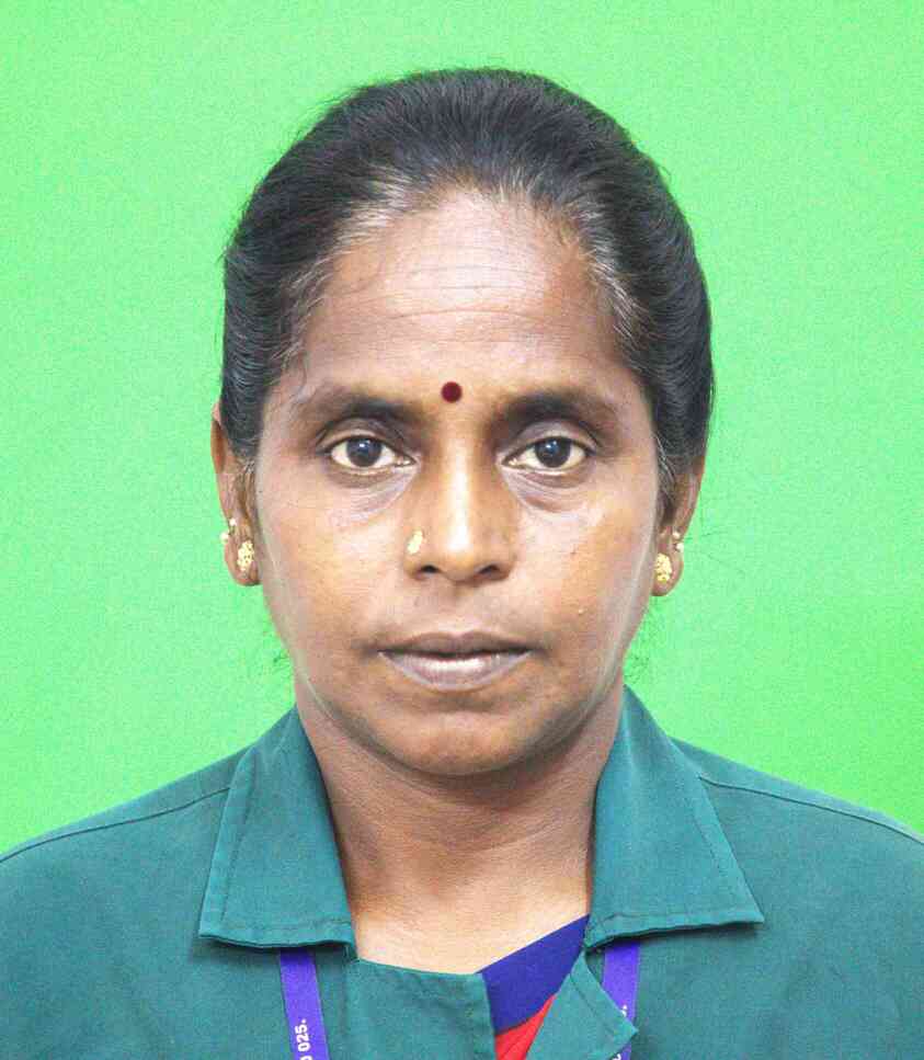 Mr. M. Subramani