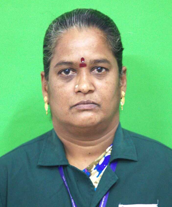 Mr. M. Subramani