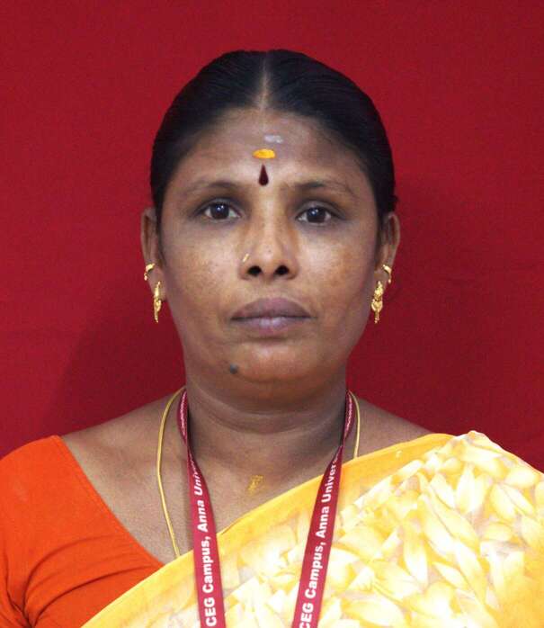 Mr. M. Subramani