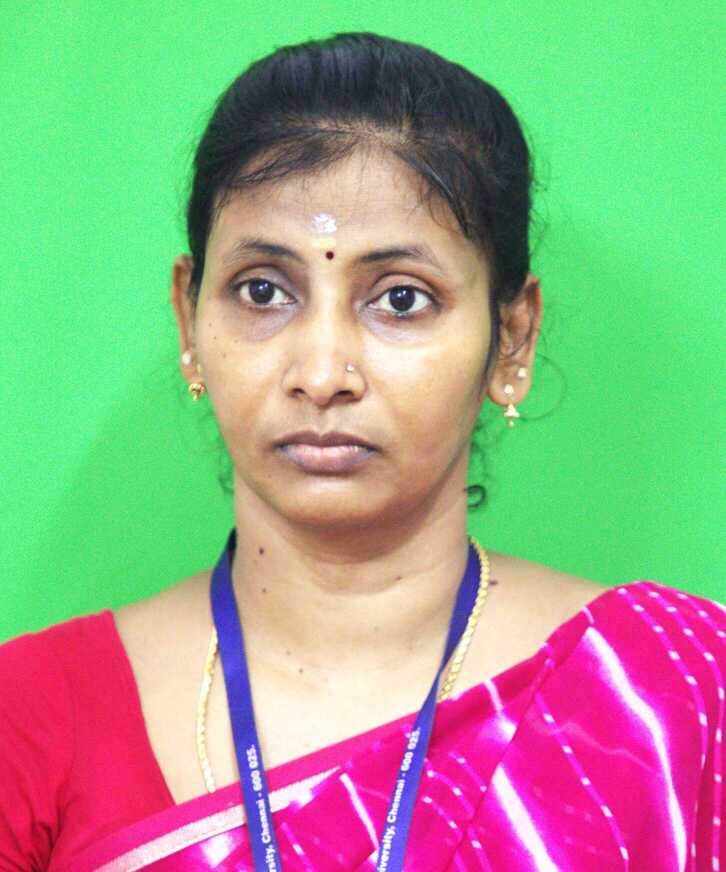 Mr. M. Subramani