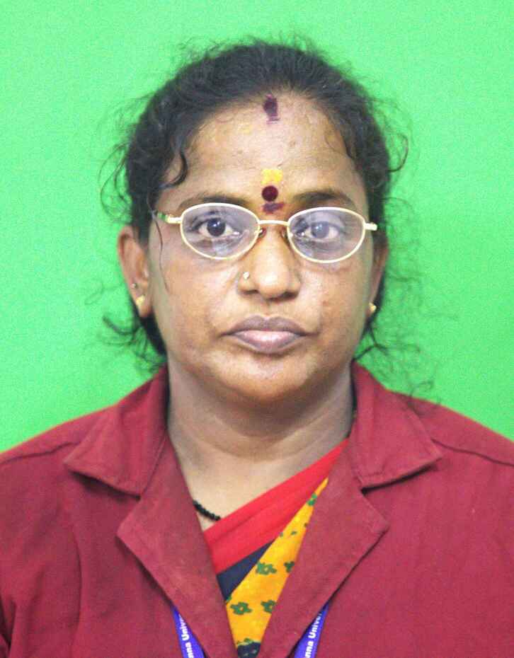 Mr. M. Subramani