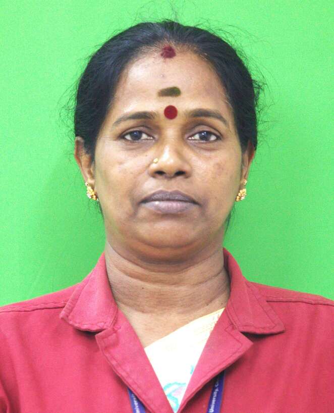 Mr. M. Subramani